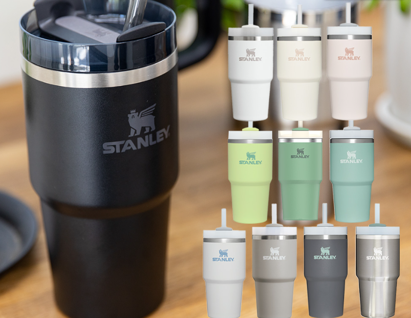 Bargain Price 20.2oz STANLEY H2.0 vacuum slim quencher 0.6L tumbler