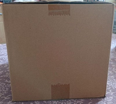 CAPCOM Resident Evil RE:4 Collector’s Edition PS5 Leon Figure Limited BOX _6