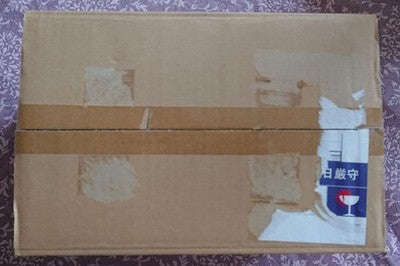 CAPCOM Resident Evil RE:4 Collector’s Edition PS5 Leon Figure Limited BOX _6
