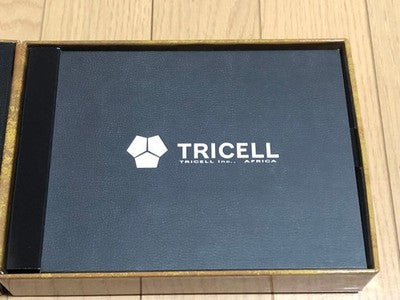 BIOHAZARD 5 Limited Edition Xbox 360 e-CAPCOM Exclusive Complete Set *2