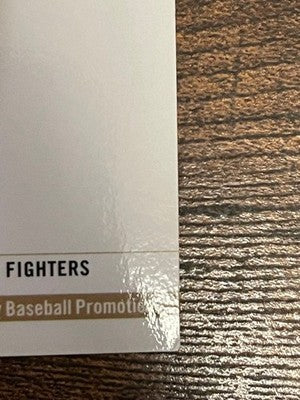 Shohei Ohtani BBM 2013 Rookie Edition Nippon Ham Fighters RC Card Shop BBM E