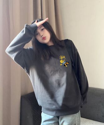 see description size M-XL Stussy Plush Fleece Thick Crew Neck Parka Black Gray