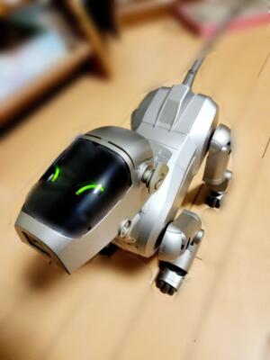 Aibo SONY ERS-110 Robot Pet Dog Japanese tested Dog robot