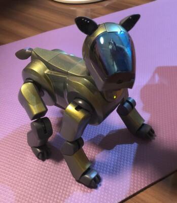 SONY AIBO ERS-210 robot Dog autonomous entertainment  Special Edition gold