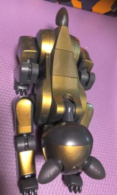 SONY AIBO ERS-210 robot Dog autonomous entertainment  Special Edition gold