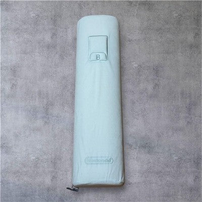 Nintendo Museum Kyoto Limited Wii controller big cusion