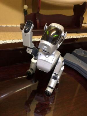 SONY AIBO ERS-111 robot Dog autonomous entertainment  Special Edition Silver C