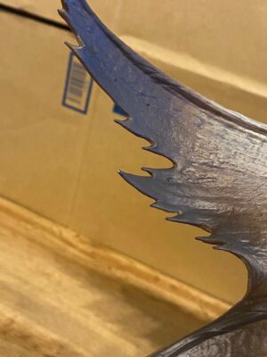 Capcom Monster Hunter Rise Sunbreak Builder Creators model  Malzeno figure used