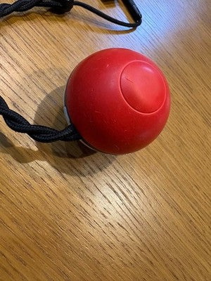 Nintendo Switch Pokemon Ball Plus Controller for Pokemon GO Switch let's go