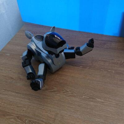 SONY AIBO ERS-210 robot Dog autonomous entertainment  Special Edition Silver