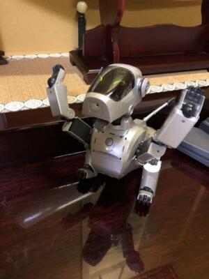 SONY AIBO ERS-111 robot Dog autonomous entertainment  Special Edition Silver C