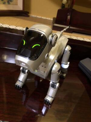 SONY AIBO ERS-111 robot Dog autonomous entertainment  Special Edition Silver C