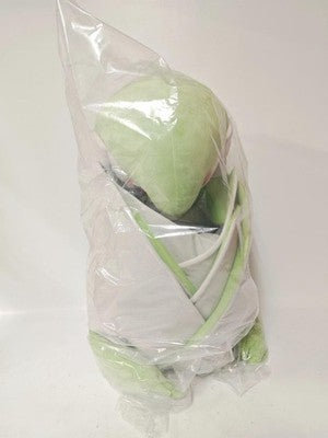Pokemon Center Online Limited Life Size Gardevoir Jumbo Plush 1/1 Scale gift jp