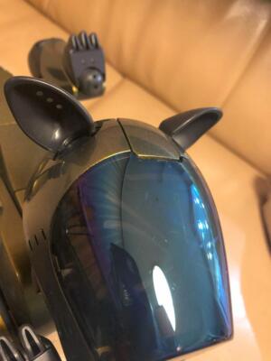 SONY AIBO ERS-210 robot Dog autonomous entertainment  Special Edition gold