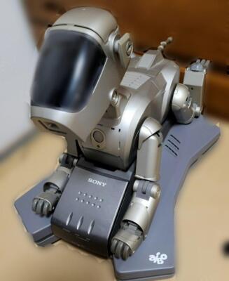 Aibo SONY ERS-110 Robot Pet Dog Japanese tested Dog robot