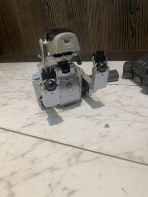 SONY AIBO ERS-111 robot Dog autonomous entertainment  Special Edition Silver B