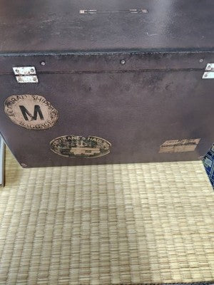 Soft missing PS5 Resident Evil BIOHAZARD Village Z COLLECTOR'S EDITION 2021 gift