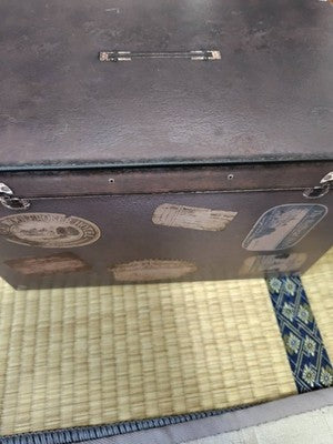 Soft missing PS5 Resident Evil BIOHAZARD Village Z COLLECTOR'S EDITION 2021 gift