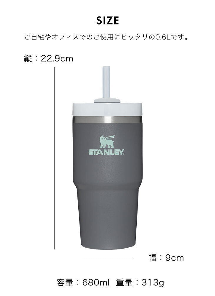 Bargain Price 20.2oz STANLEY H2.0 vacuum slim quencher 0.6L tumbler